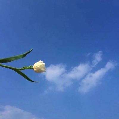 洪荒圣传九游版下载