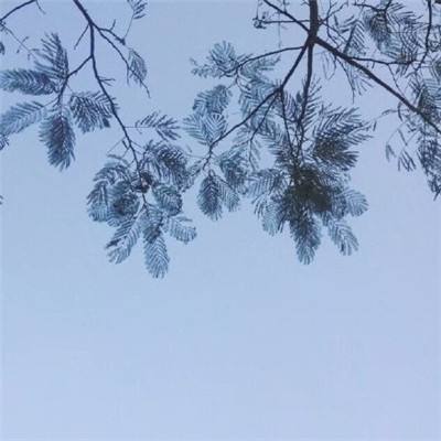 江湖行3官方下载