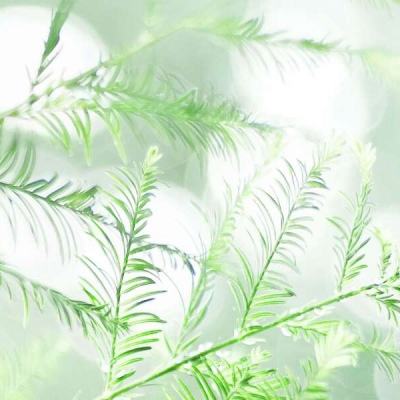 碉少堡全民枪战破解版下载