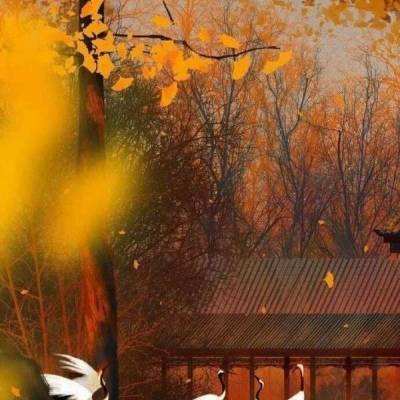 乱斗萌手游(暂未上线)v1.2 安卓版
